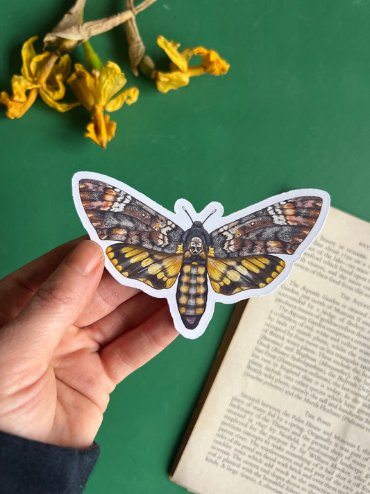 Deaths-head Hawkmoth Sticker