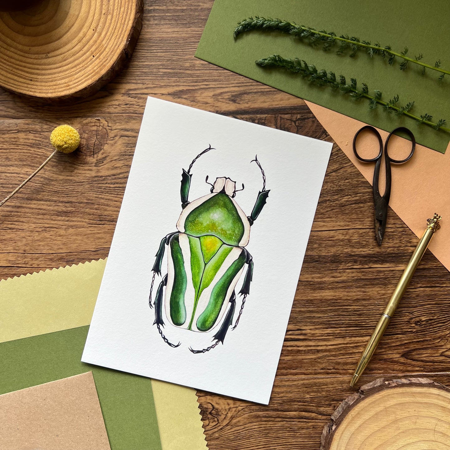 Derby’s flower beetle Print
