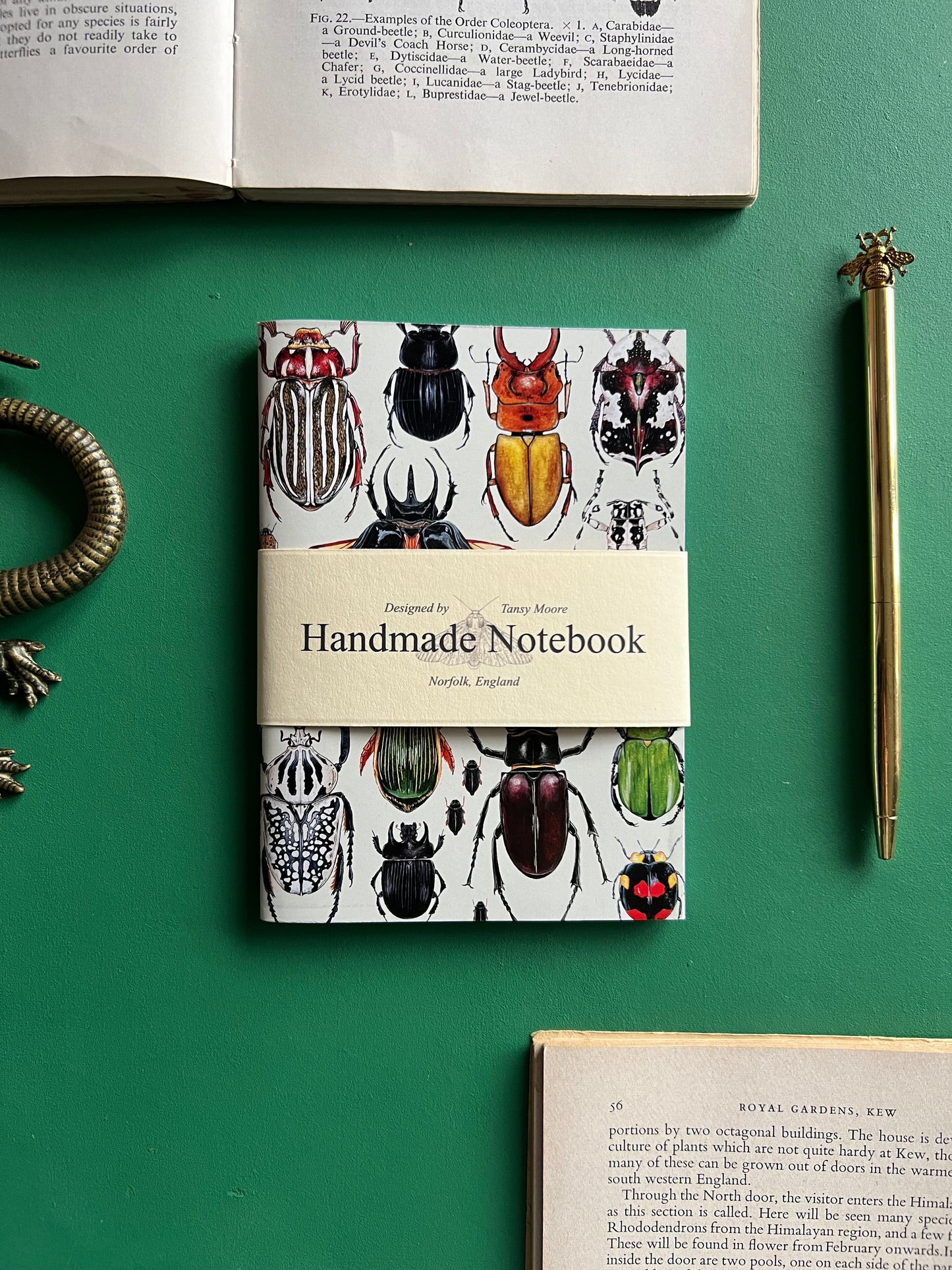 Insect Pocket Notebook Set