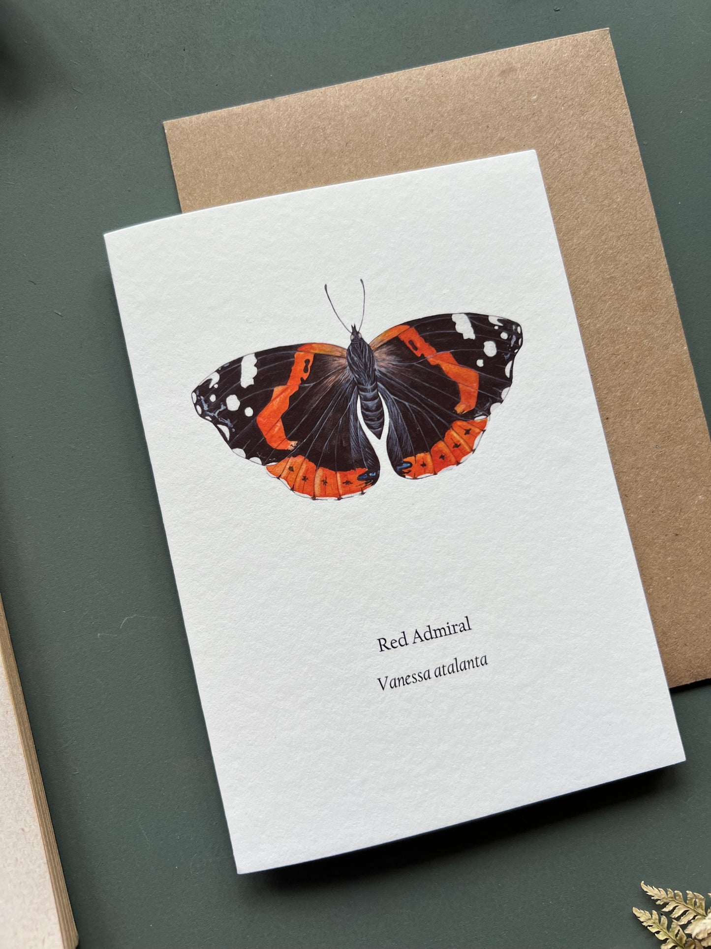 Red Admiral Card