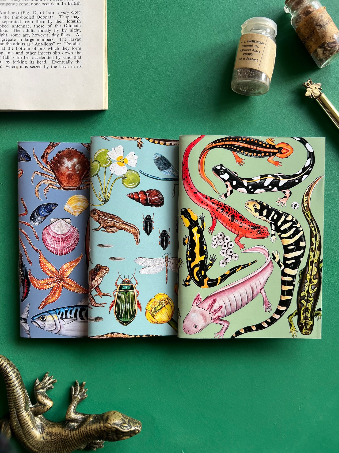 Wildlife Pocket Notebook Set