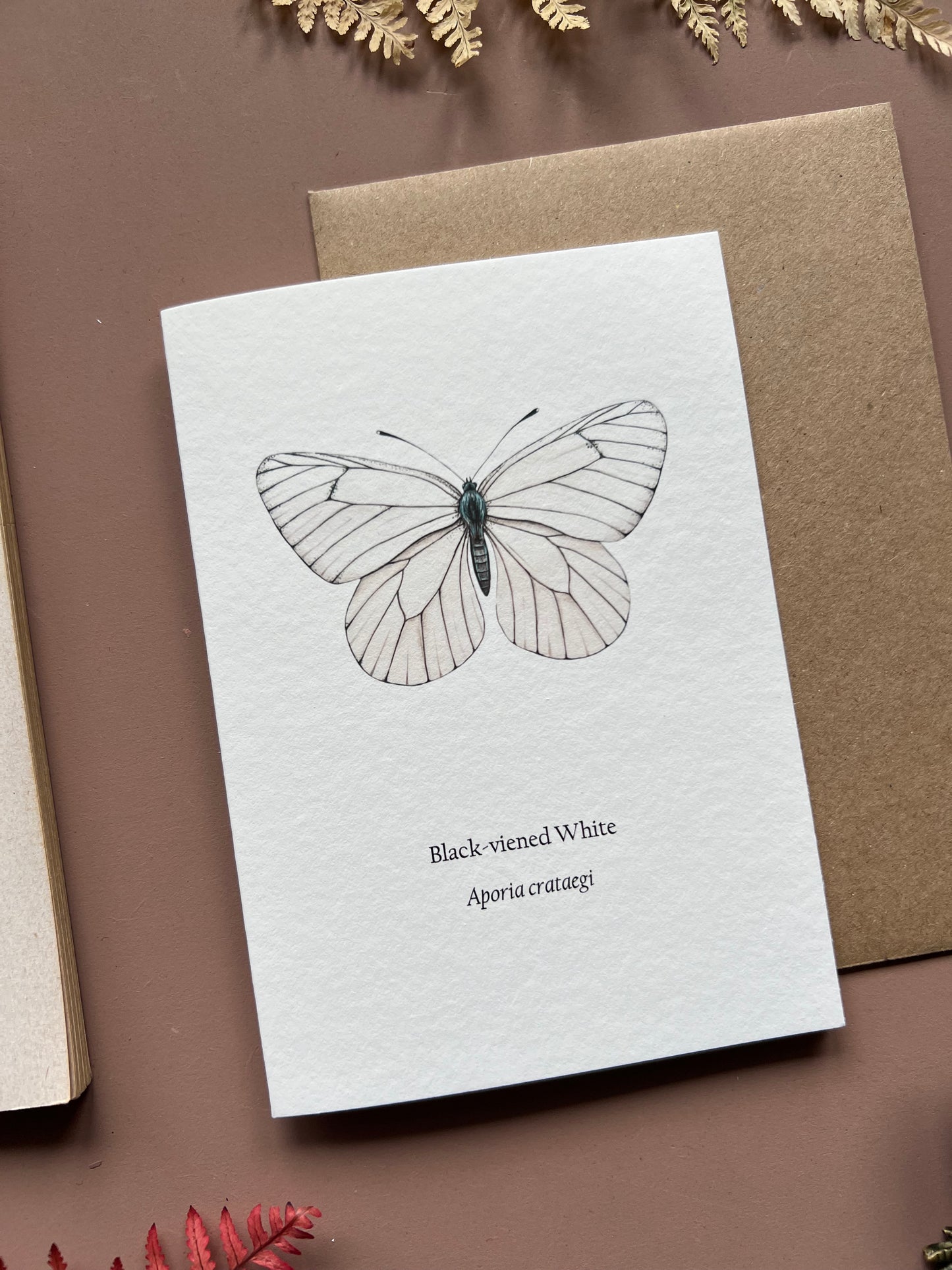 Black-veined White Card