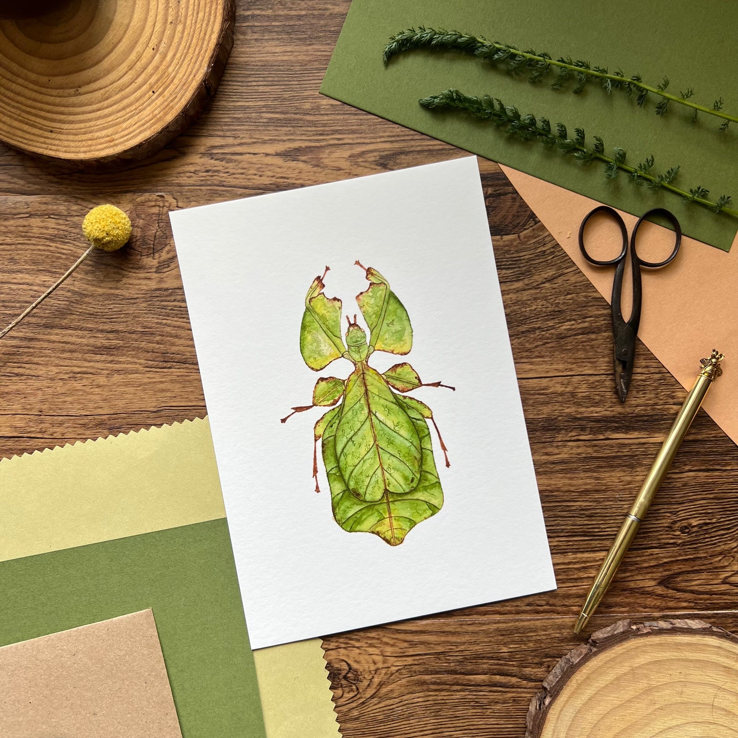 Giant Leaf Insect
