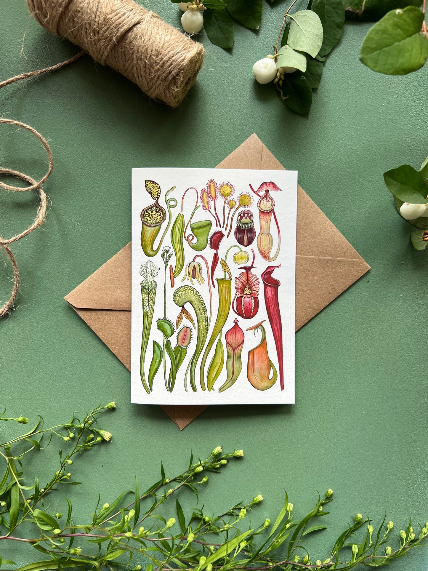 Carnivorous Plants Card