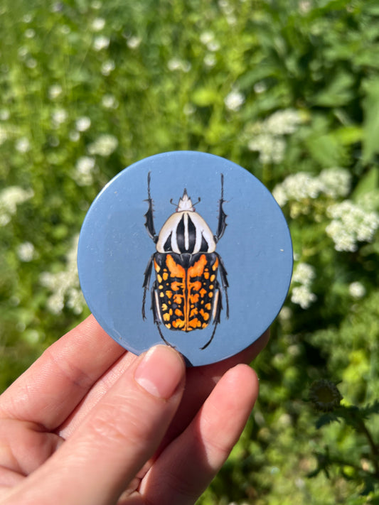 Tiger Flower Beetle Pocket Mirror
