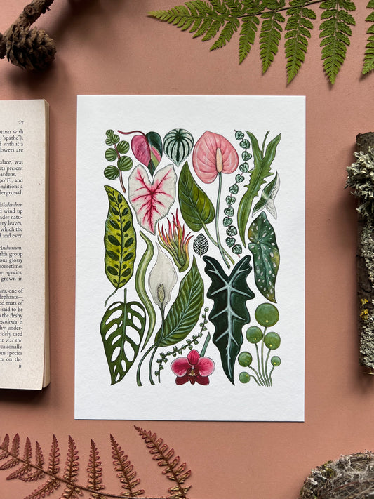 House Plants Print