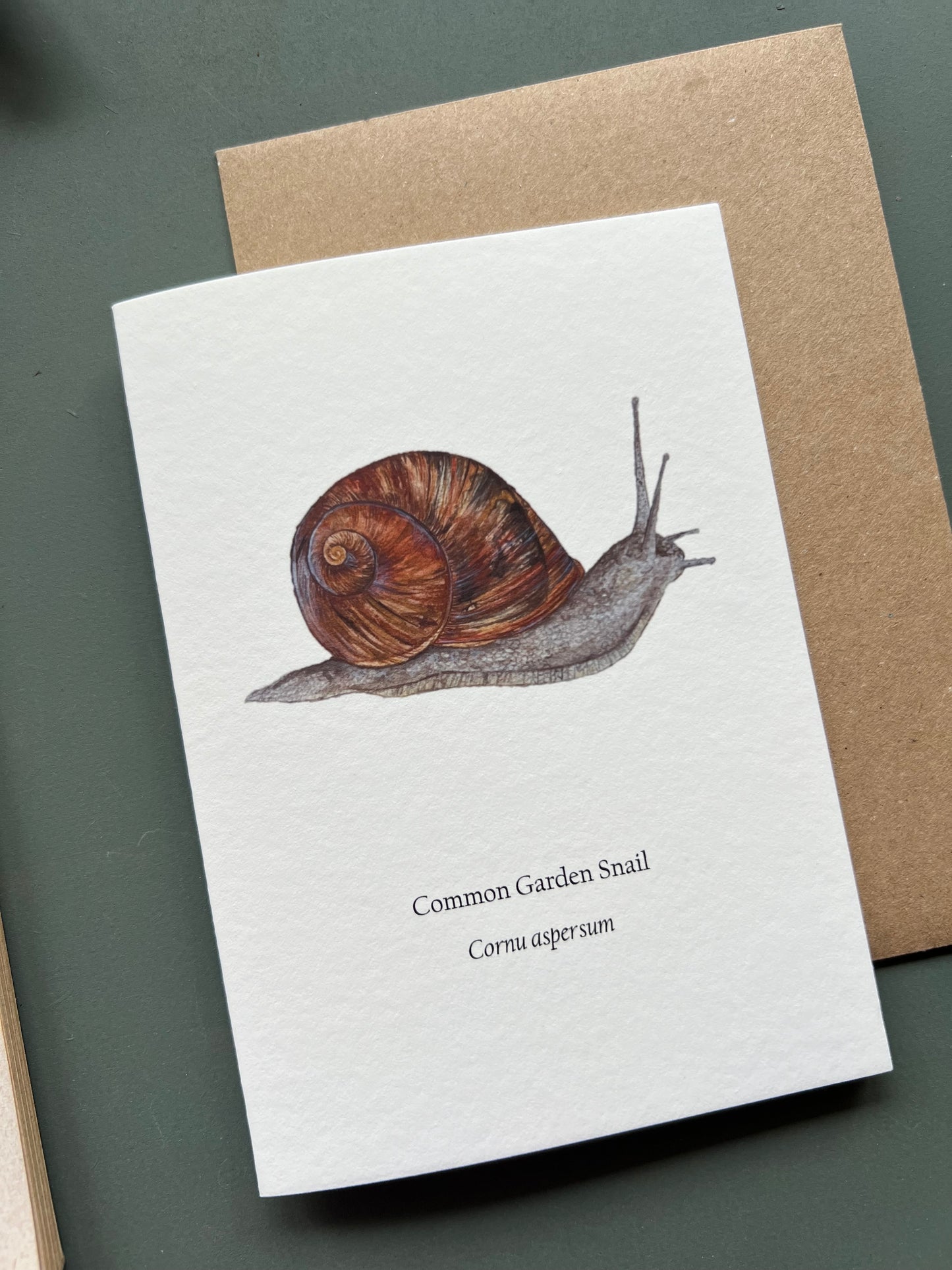 Garden Snail Card