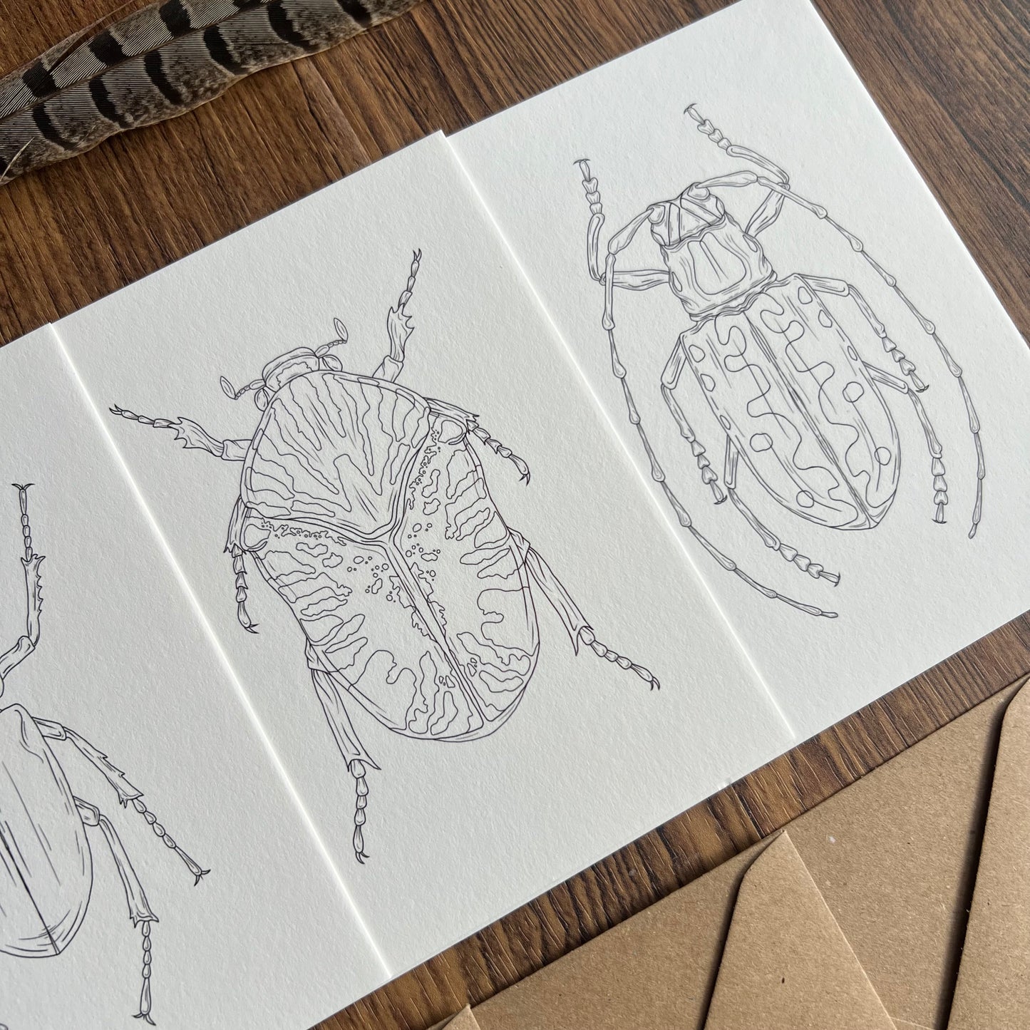 Beetle Colouring in Card Set