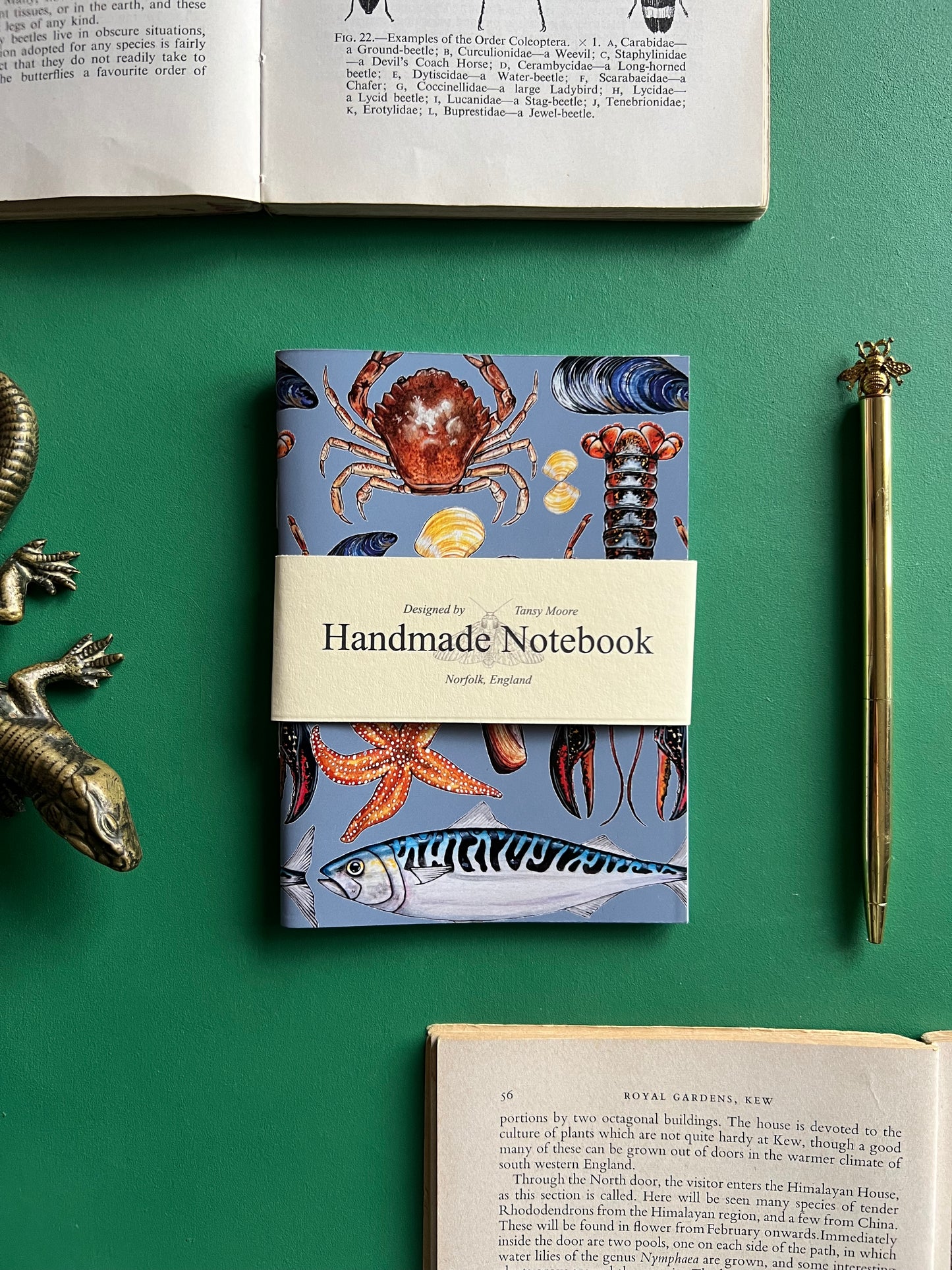 Marine Life Pocket Notebook