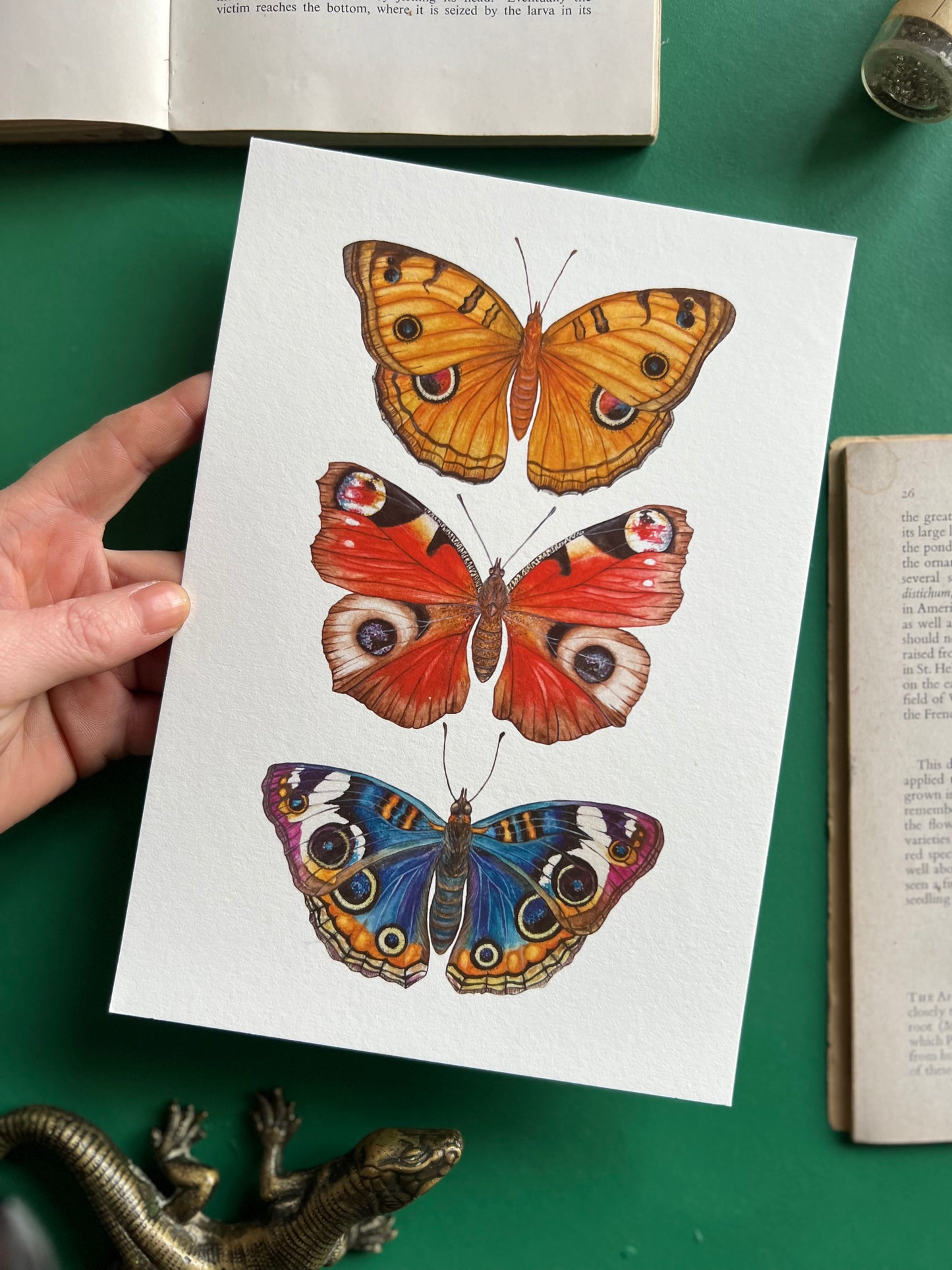 Butterflies with Eyes