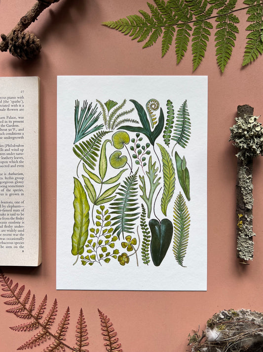 Fern Print