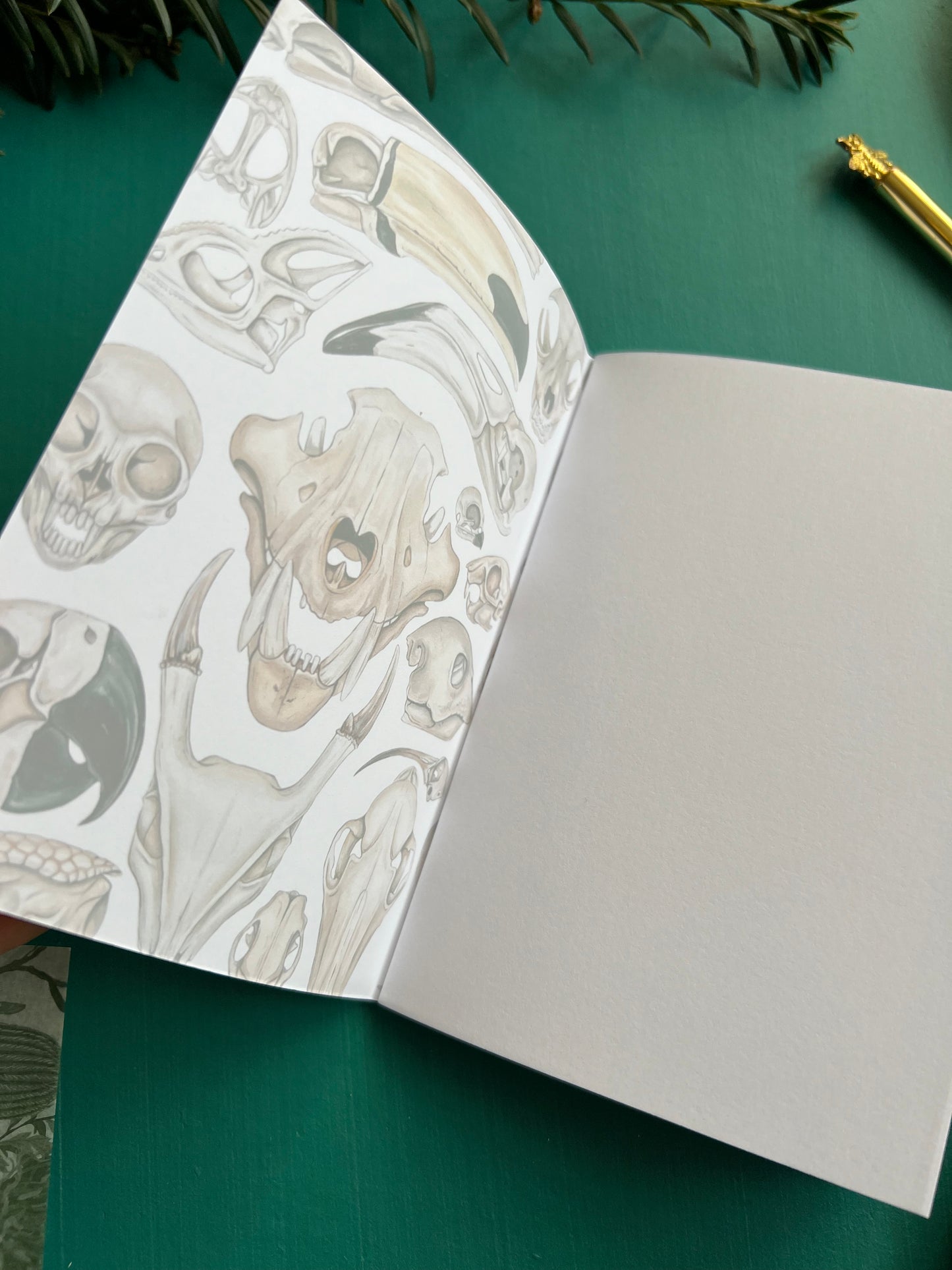 Skulls Pocket Notebook