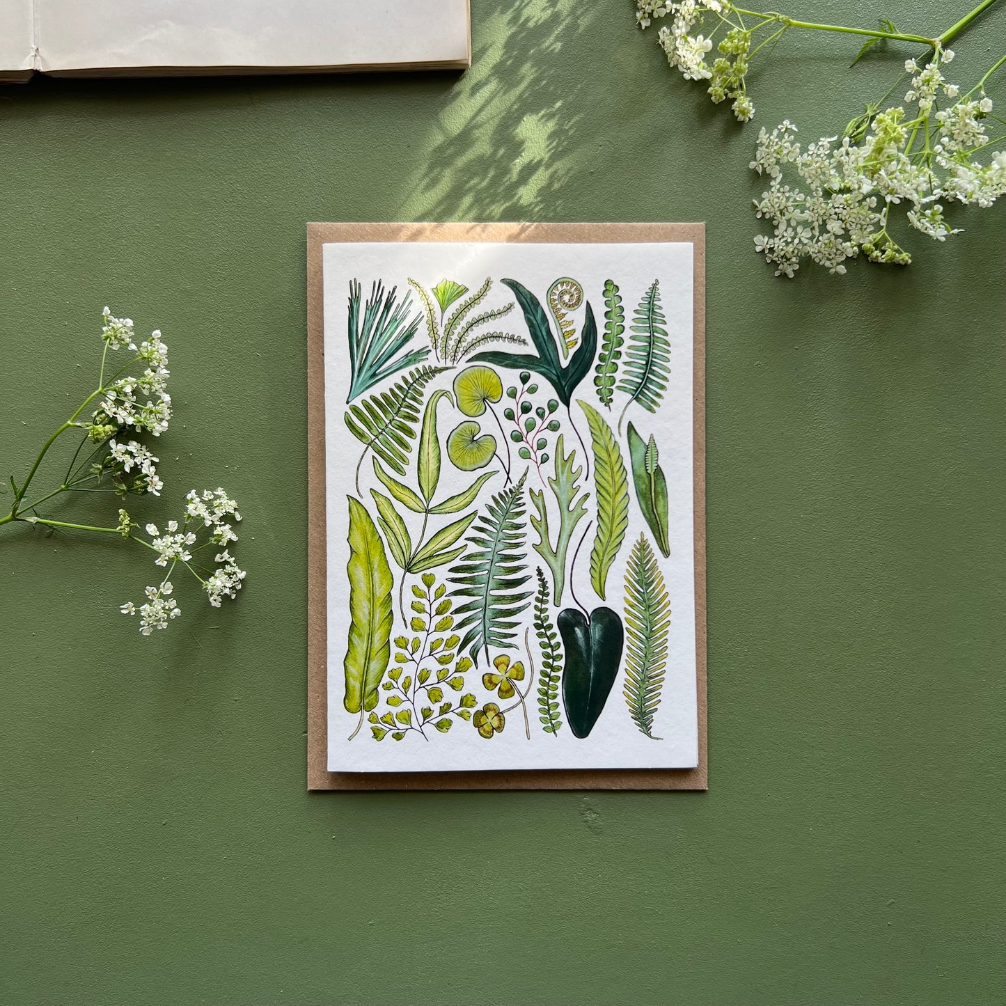 Ferns Card