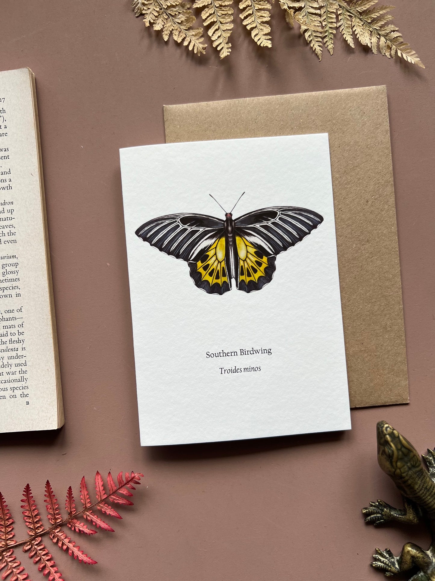 Southern Birdwing Card