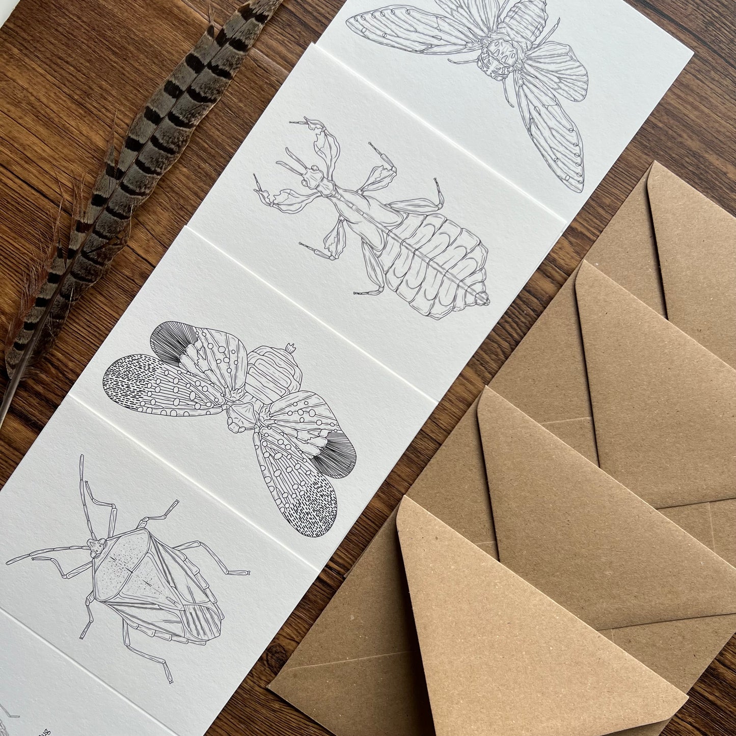 Insects Colouring in Card Set