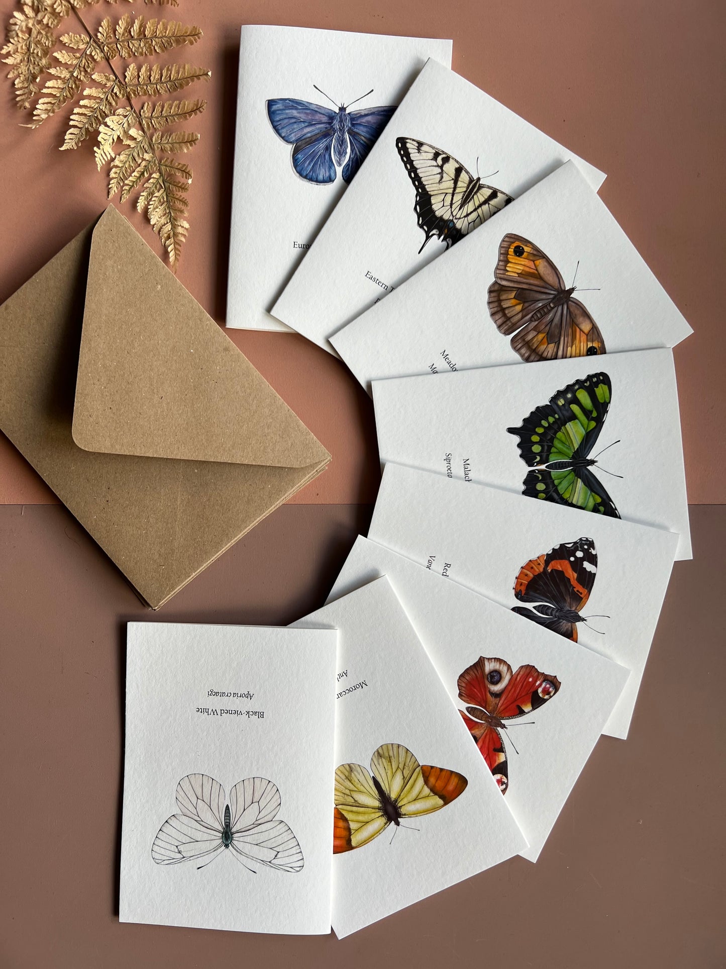 Butterfly Card Set