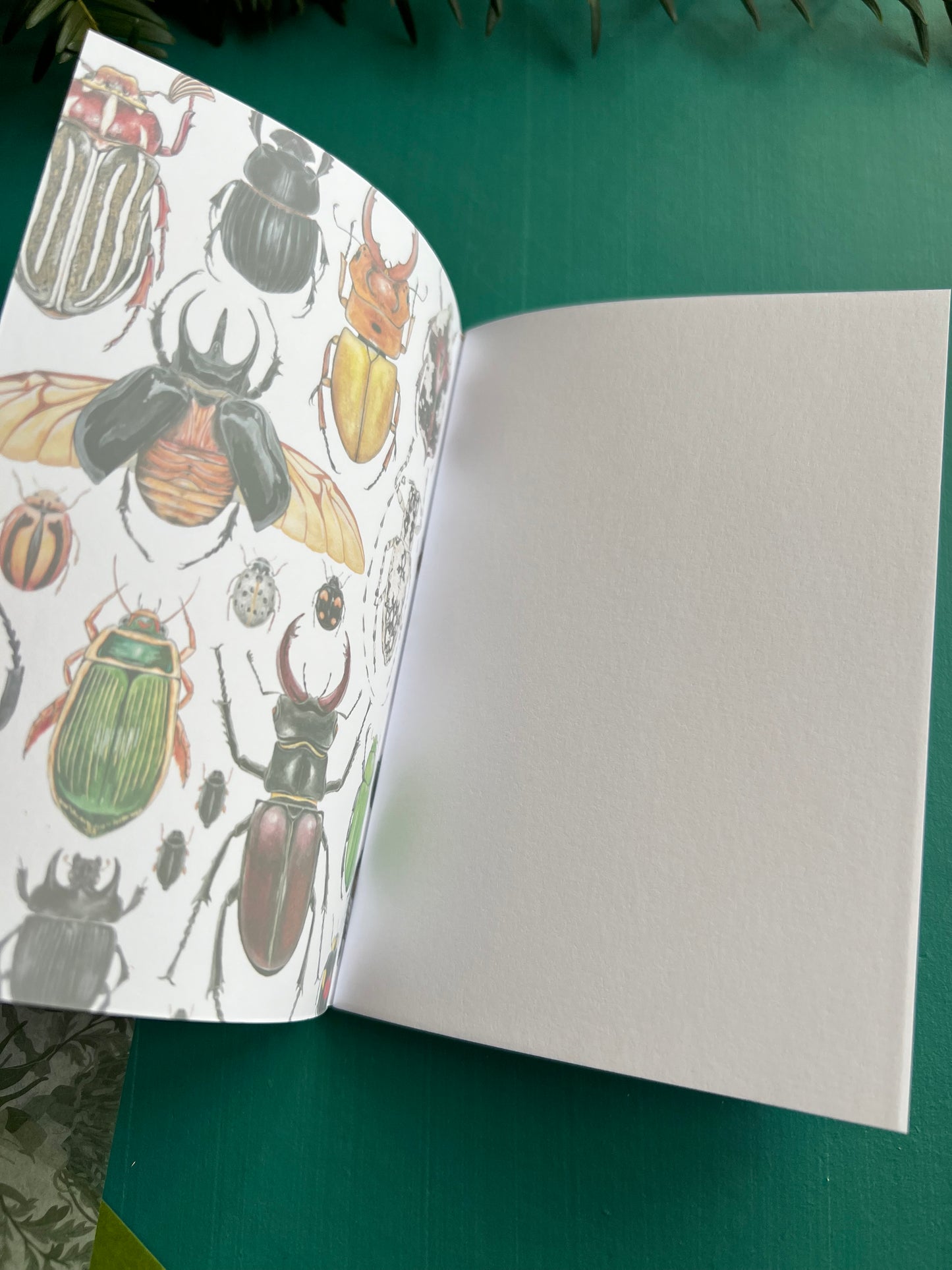 Beetles Pocket Notebook