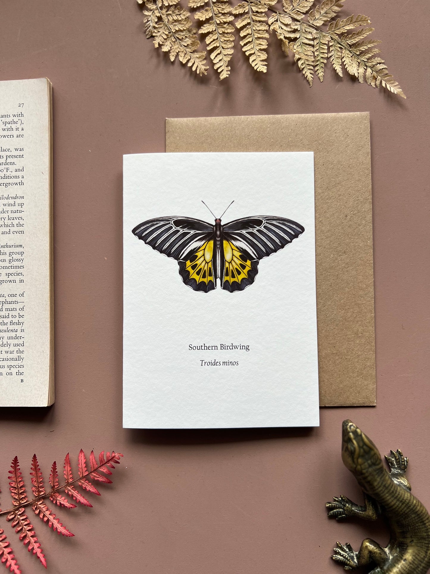 Southern Birdwing Card