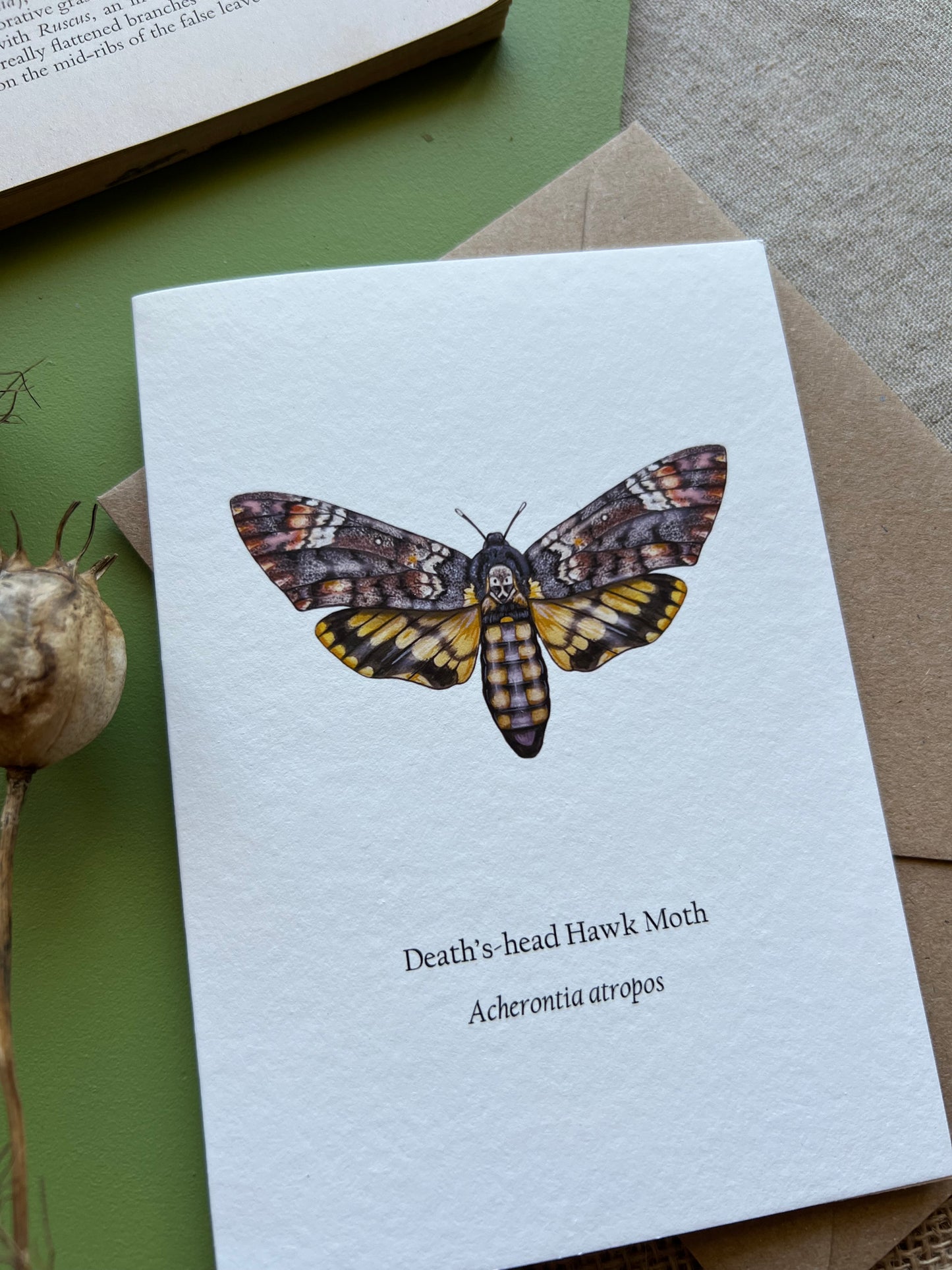 Deaths-head Hawk Moth Card