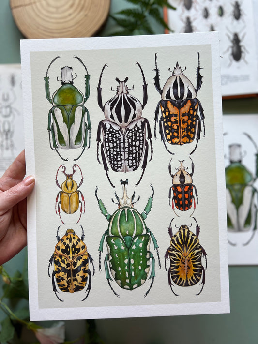 Beetles Print