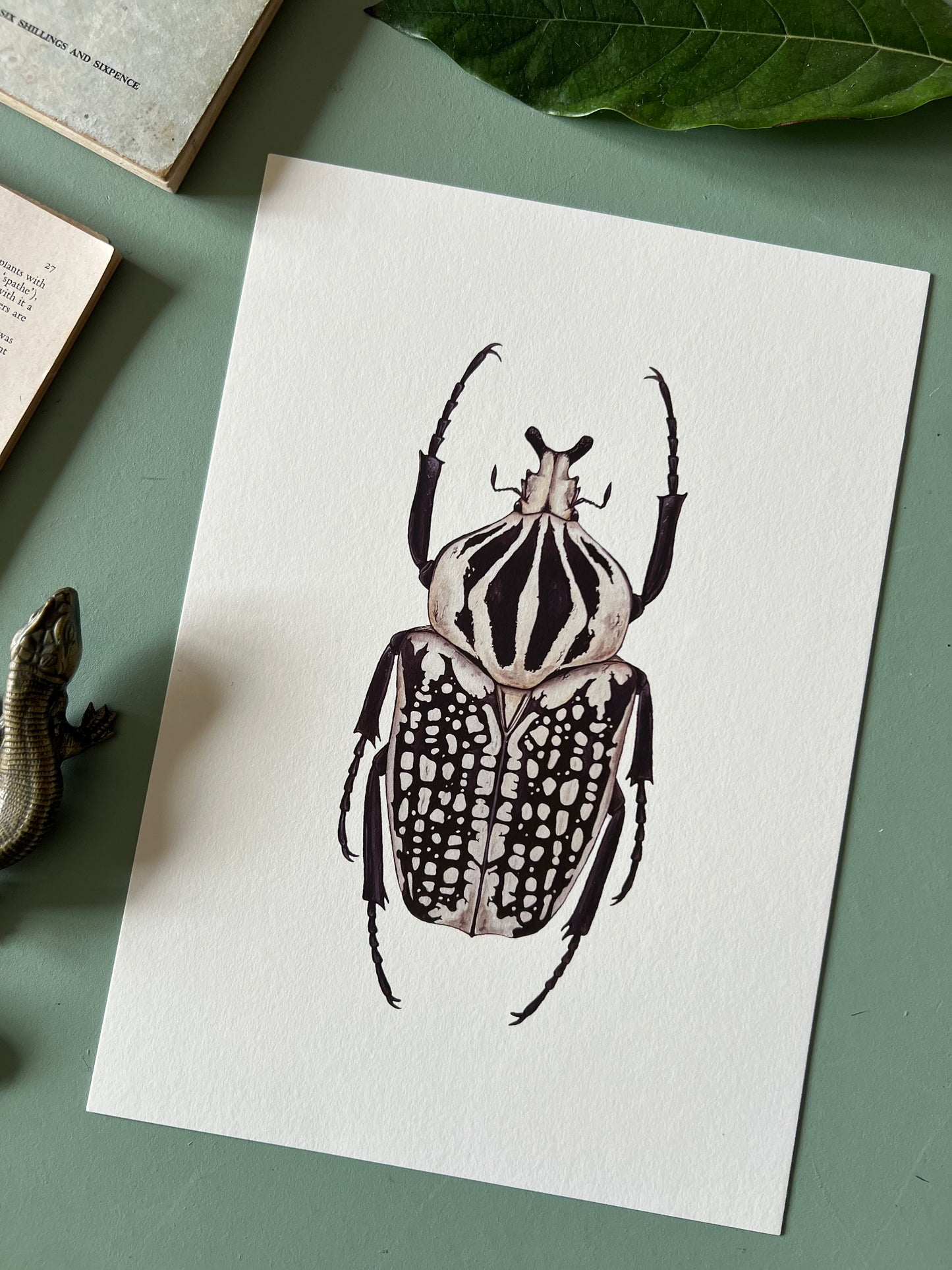 Goliath orientalis Print