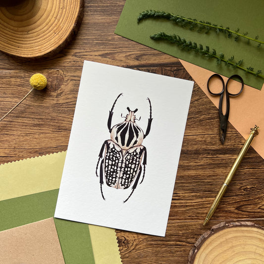 Goliath orientalis Print