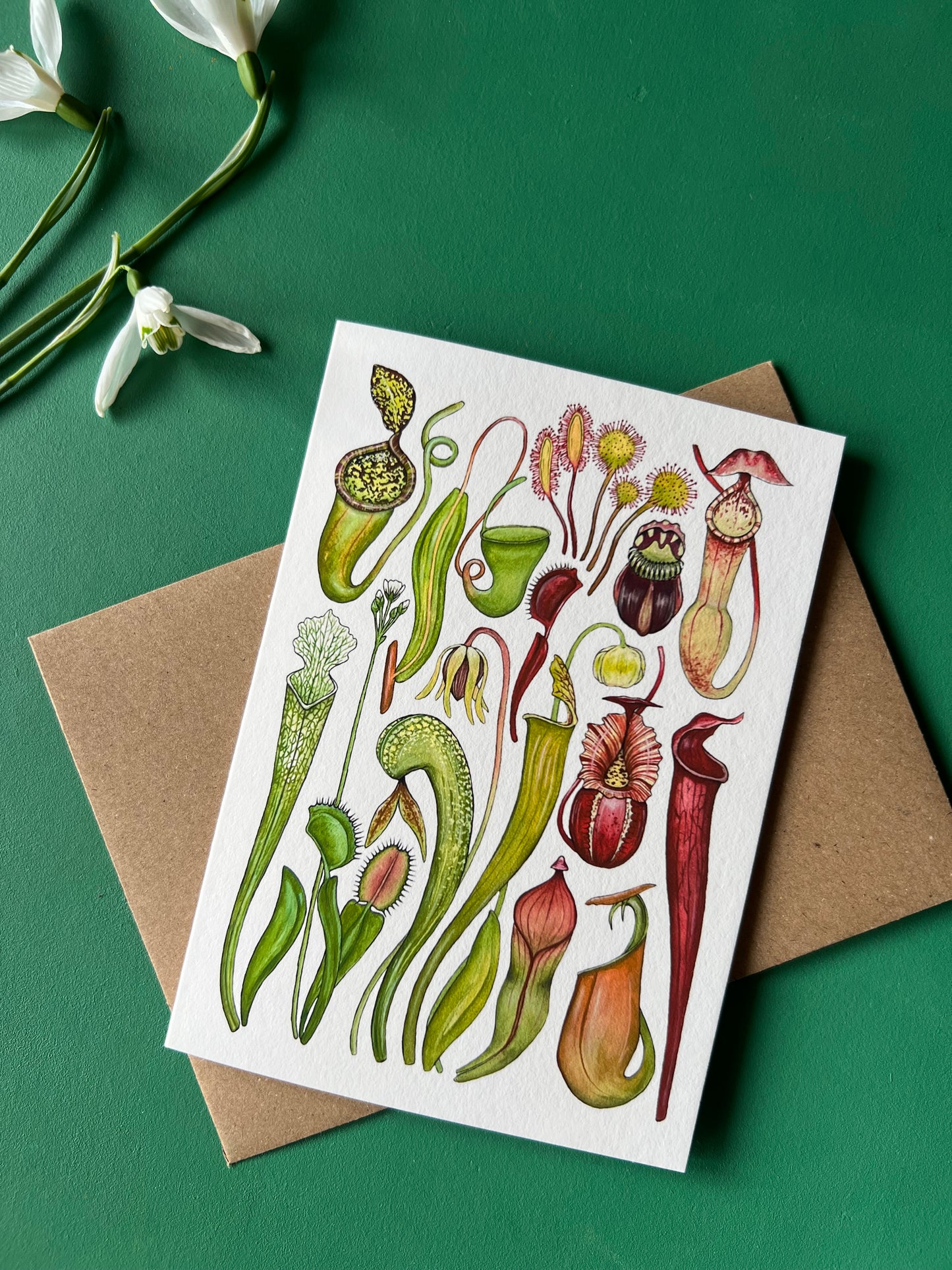 Carnivorous Plants Card