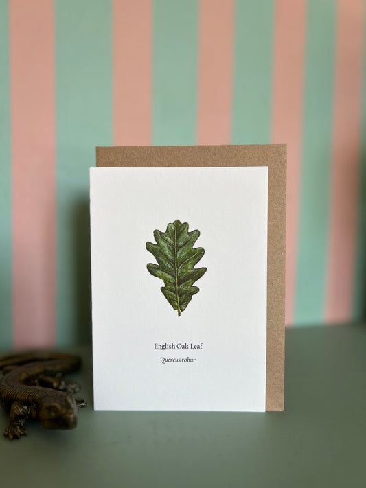 English Oak Card