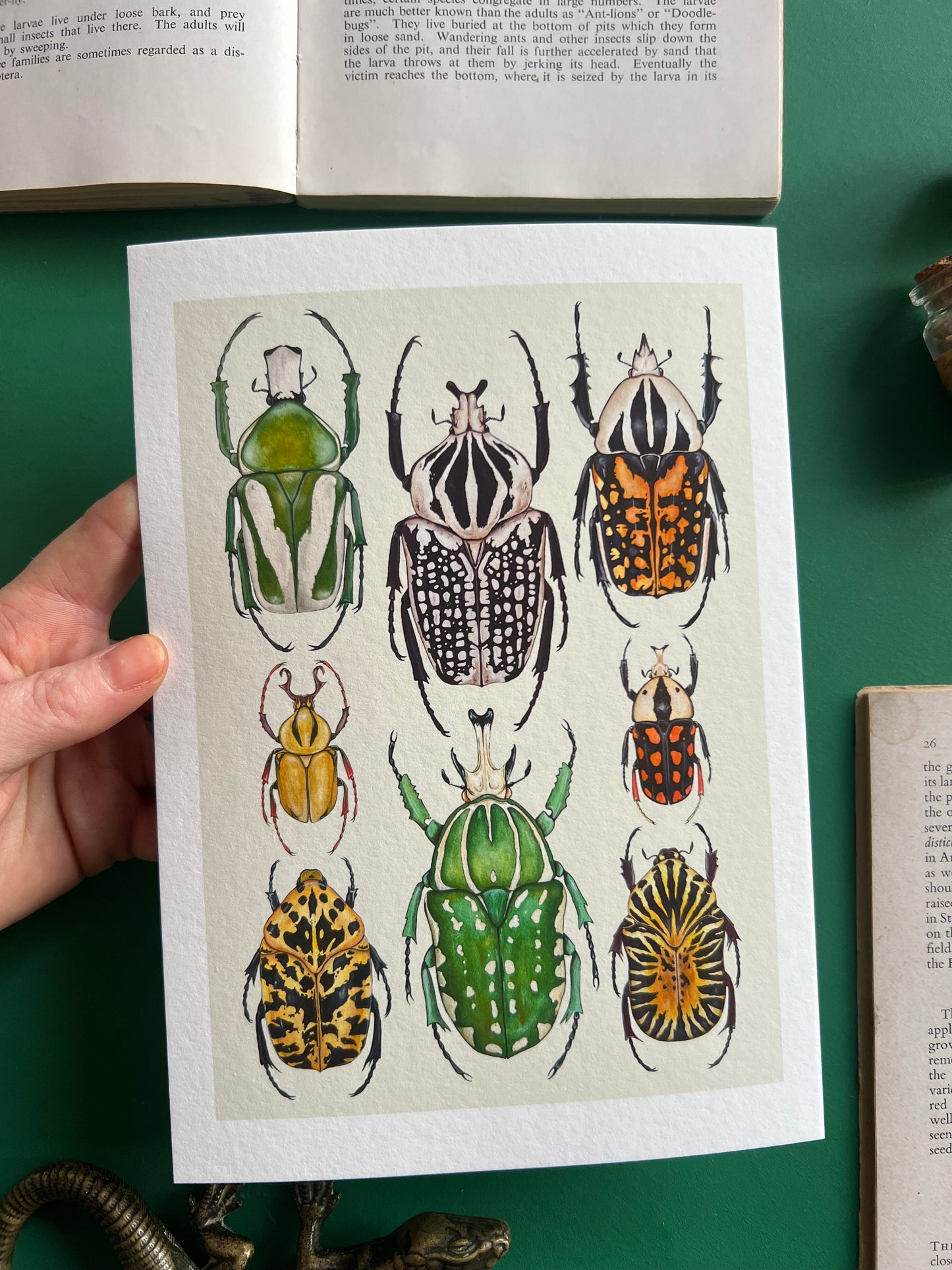 Beetles Print