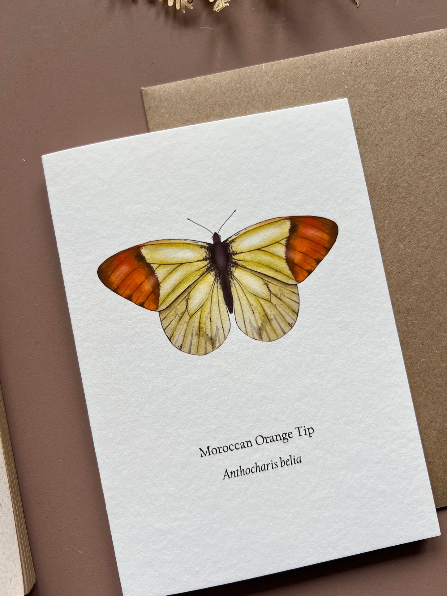 Moroccan Orange Tip Card