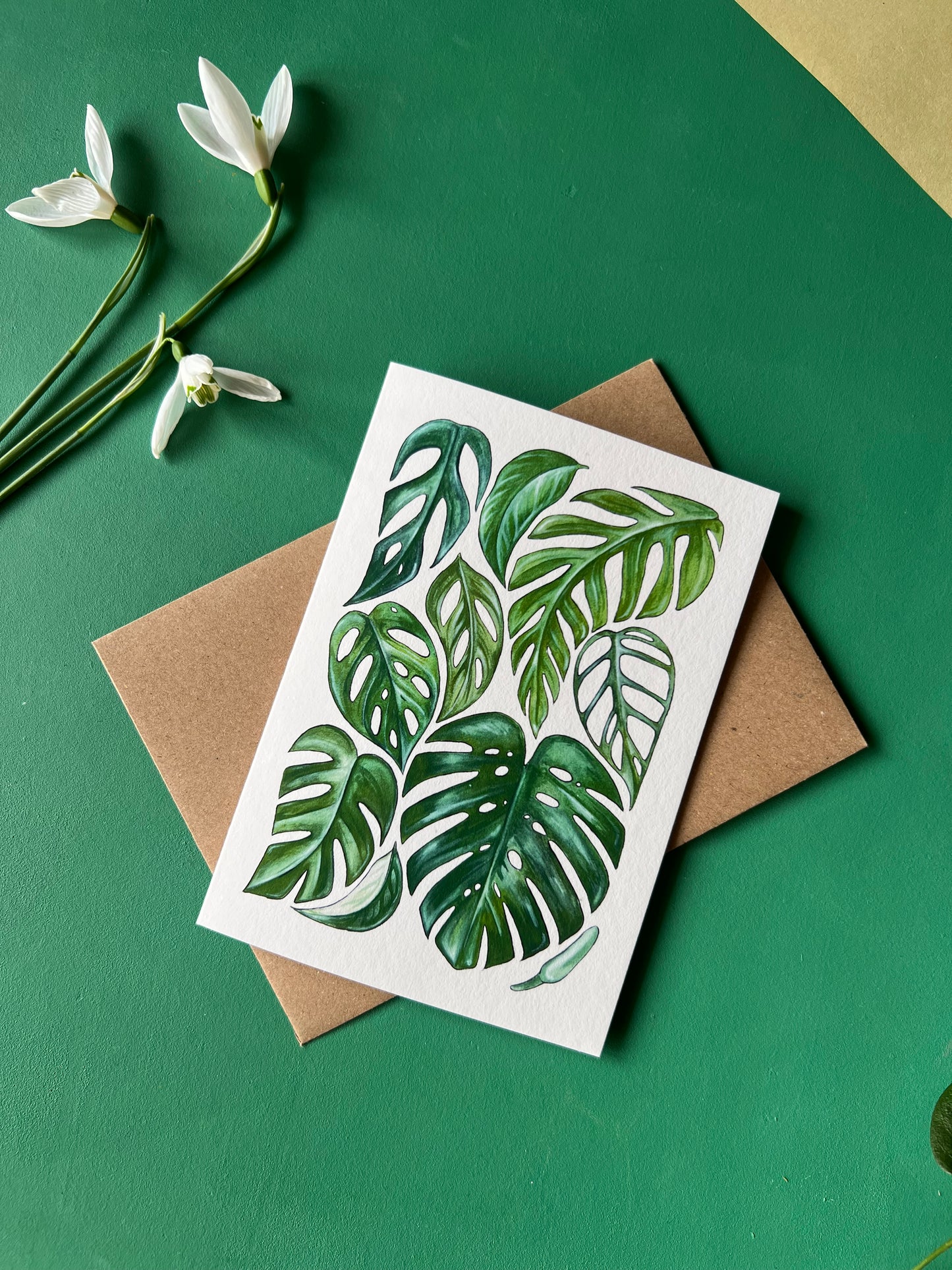 Monstera Card