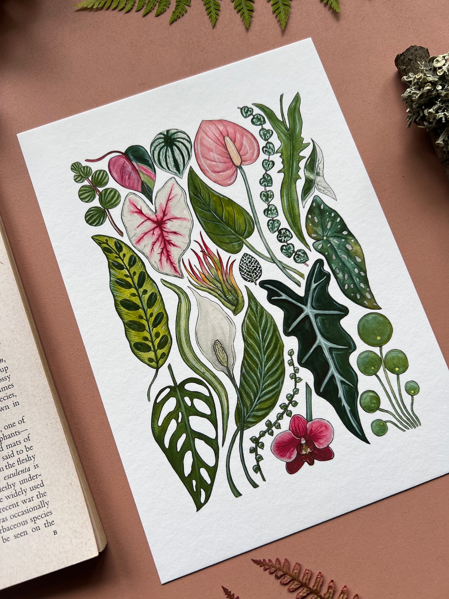 House Plants Print