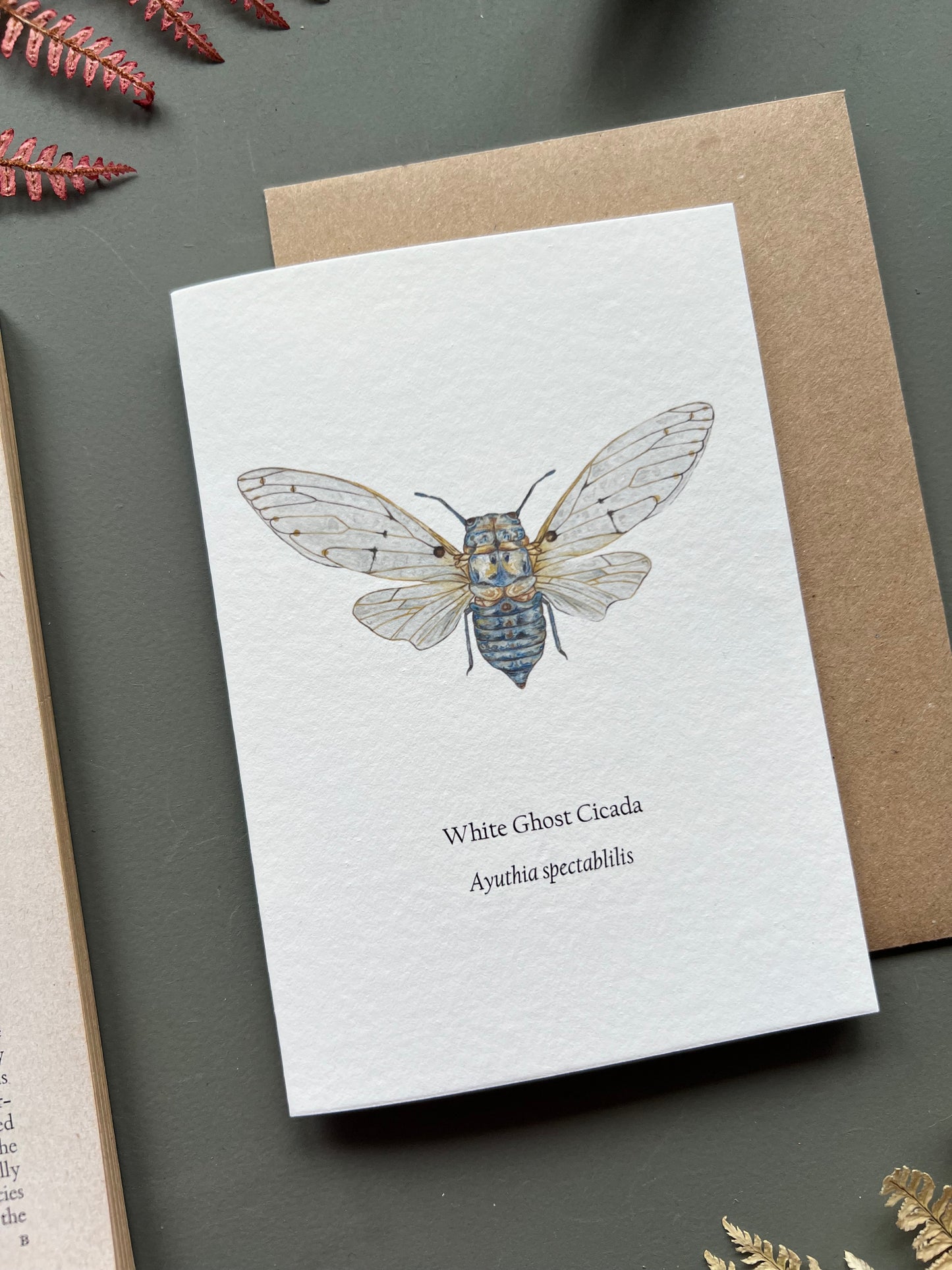 Ghost Cicada Card