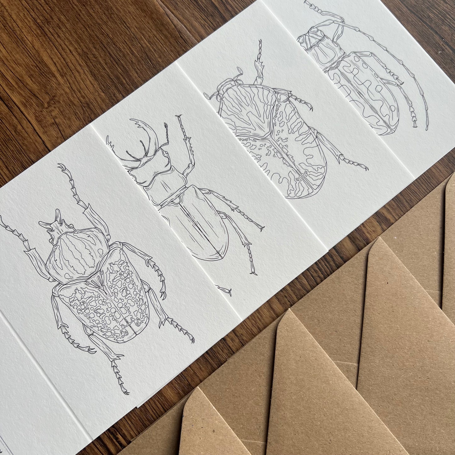 Beetle Colouring in Card Set