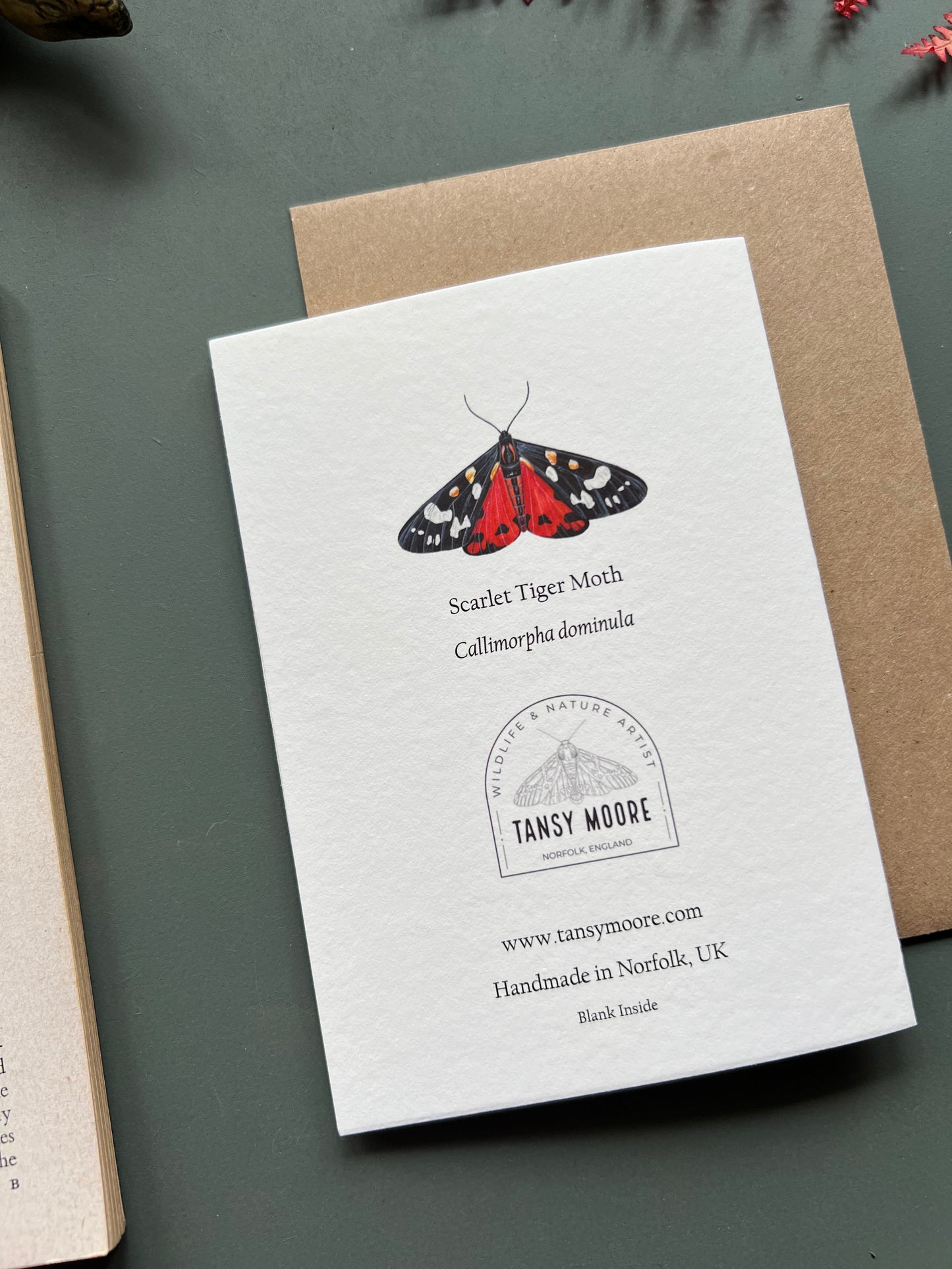 Scarlet Tiger Moth Card