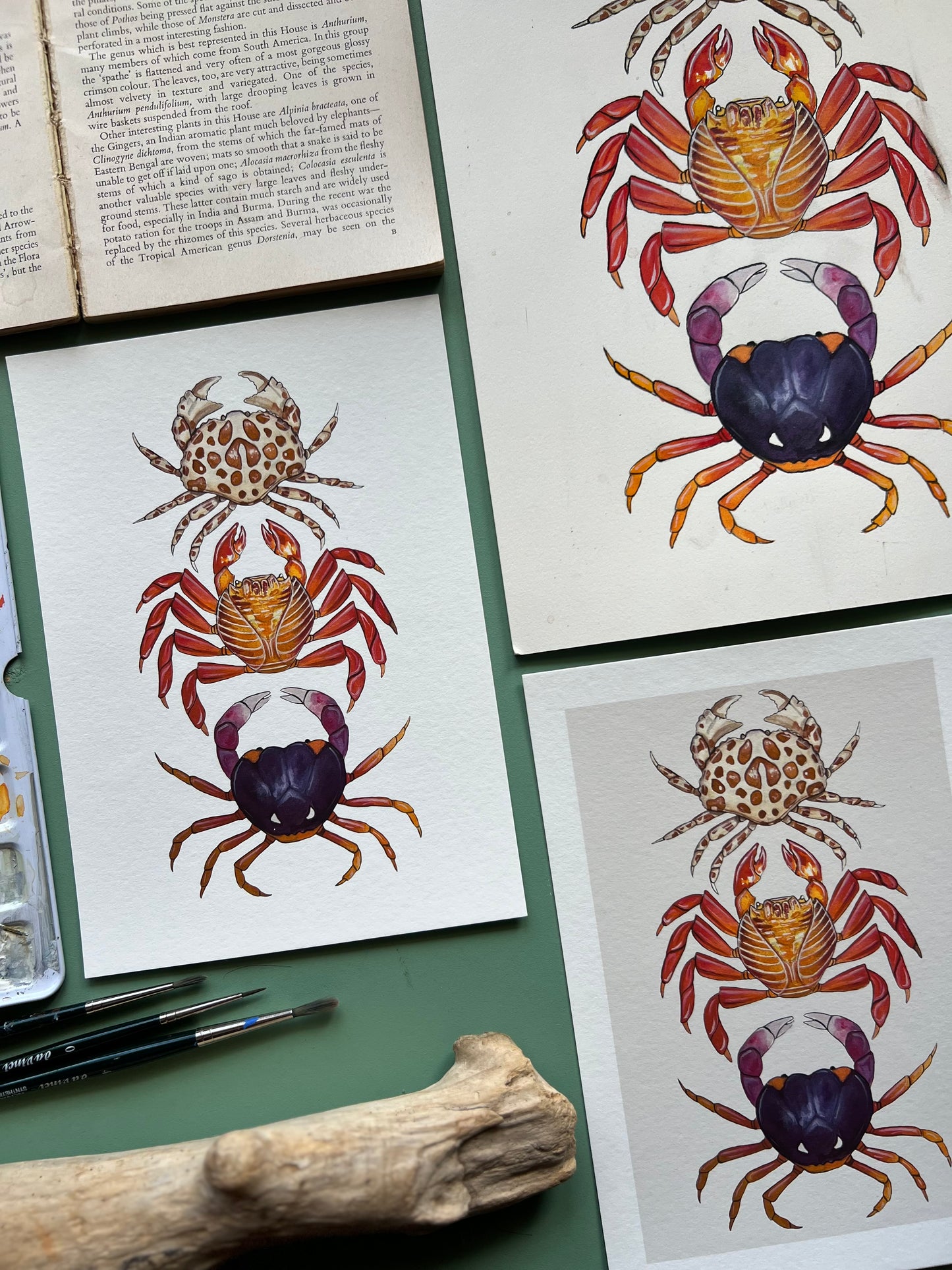 Crabs Print, Marine life