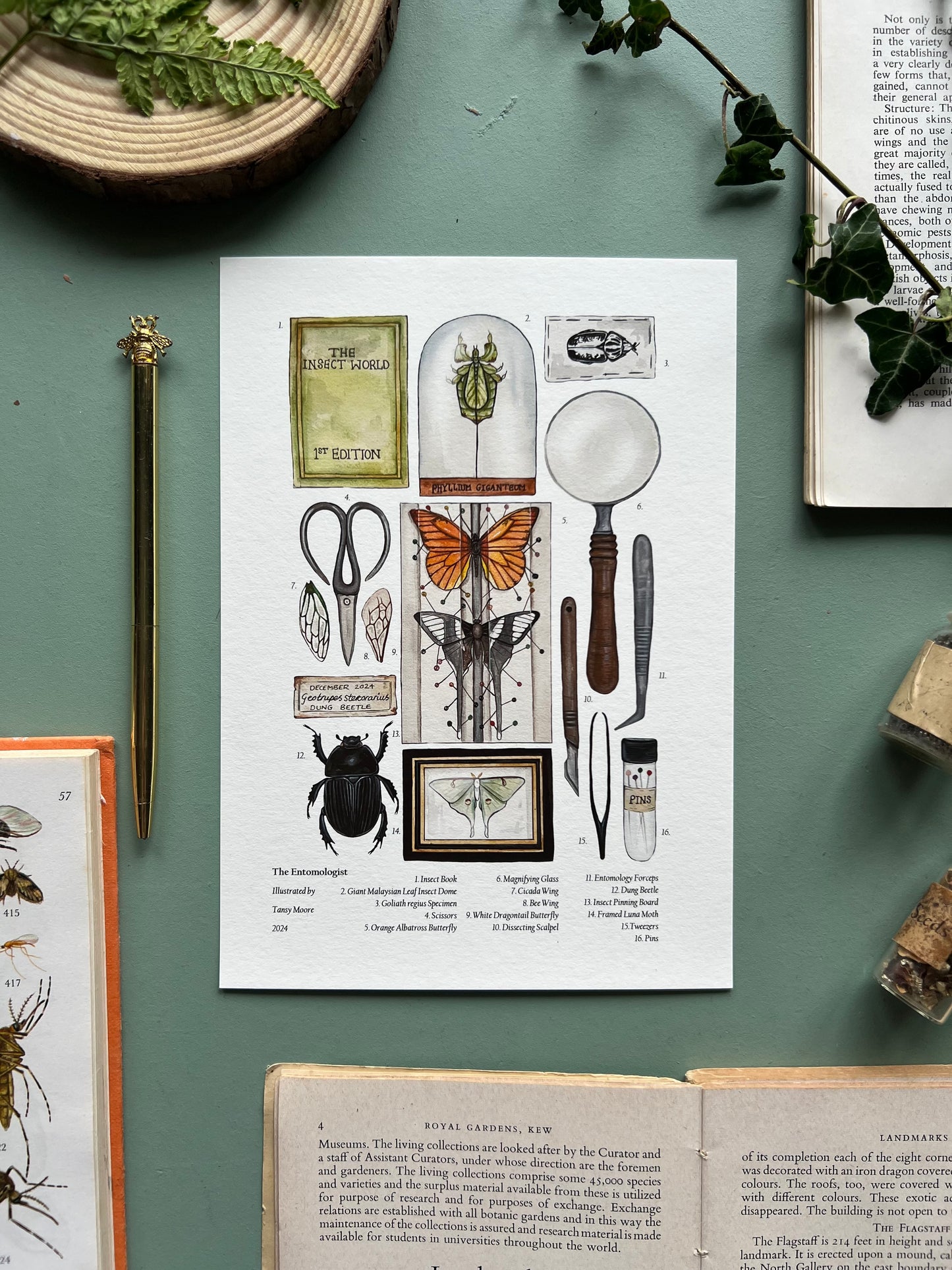 The Entomologist Print