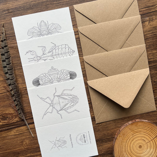 Insects Colouring in Card Set