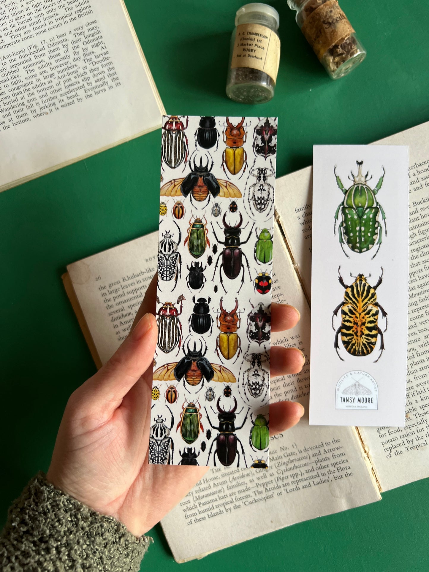 Beetles Bookmark