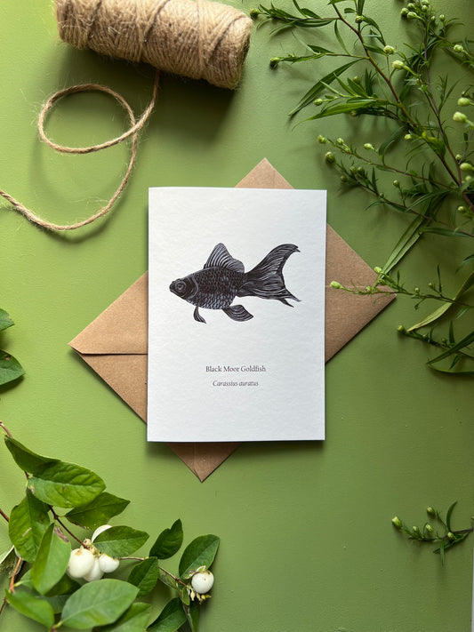 Black Moor Goldfish Card