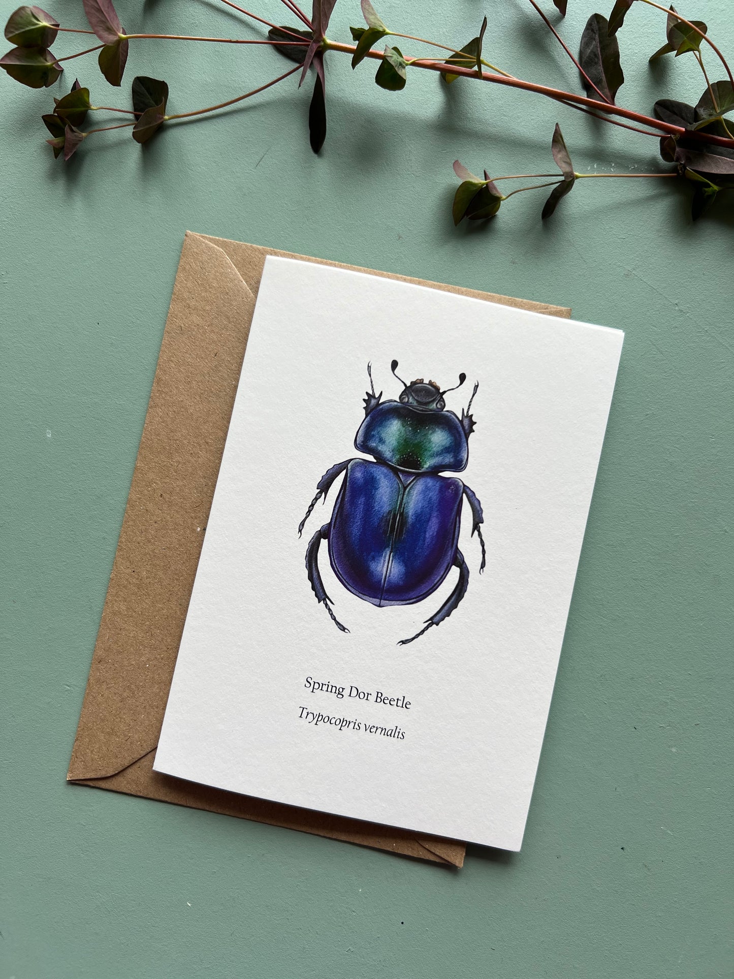 Spring Dor Beetle Card