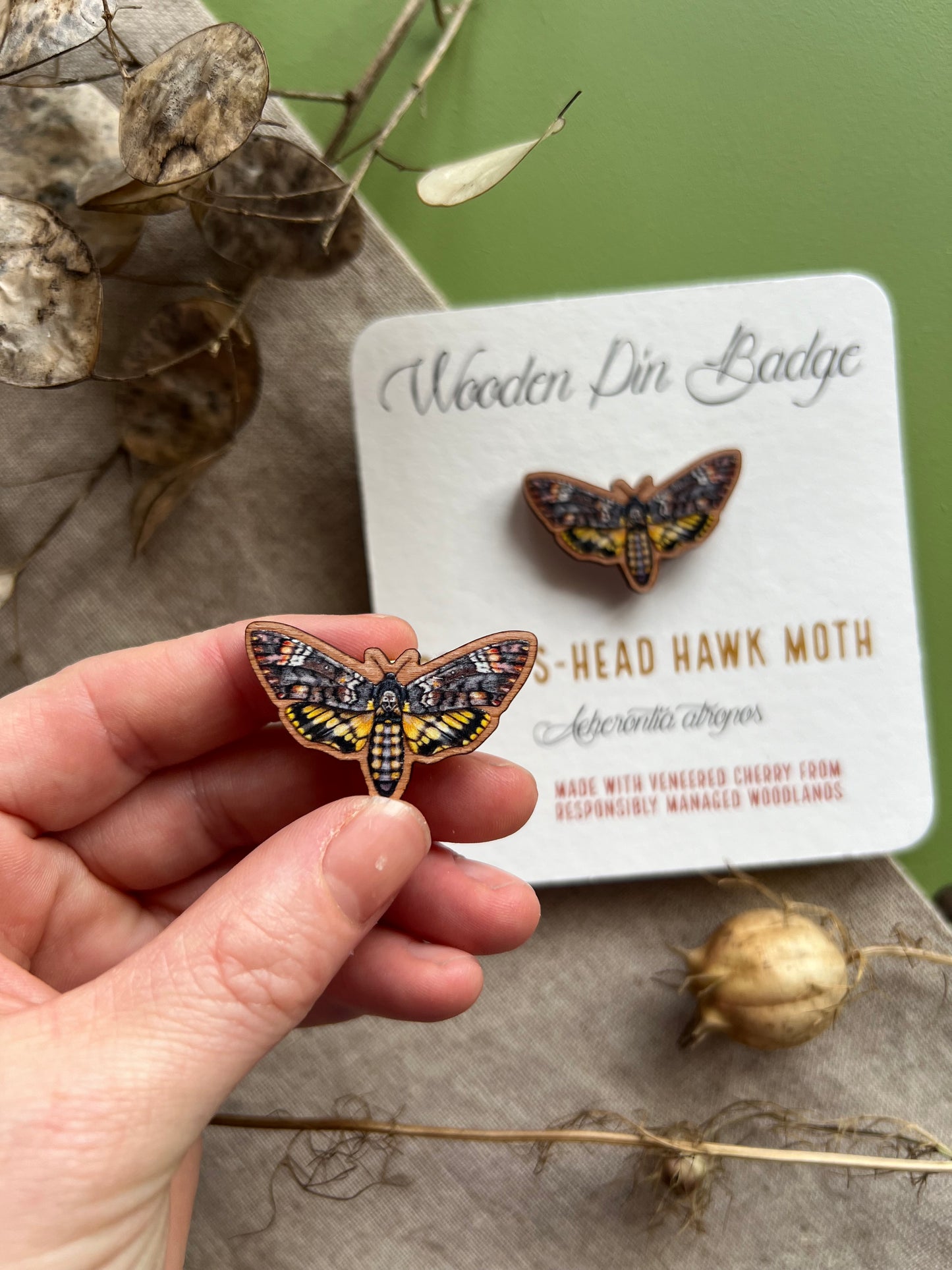 Death’s Head Hawk Moth Wooden Pin Badge