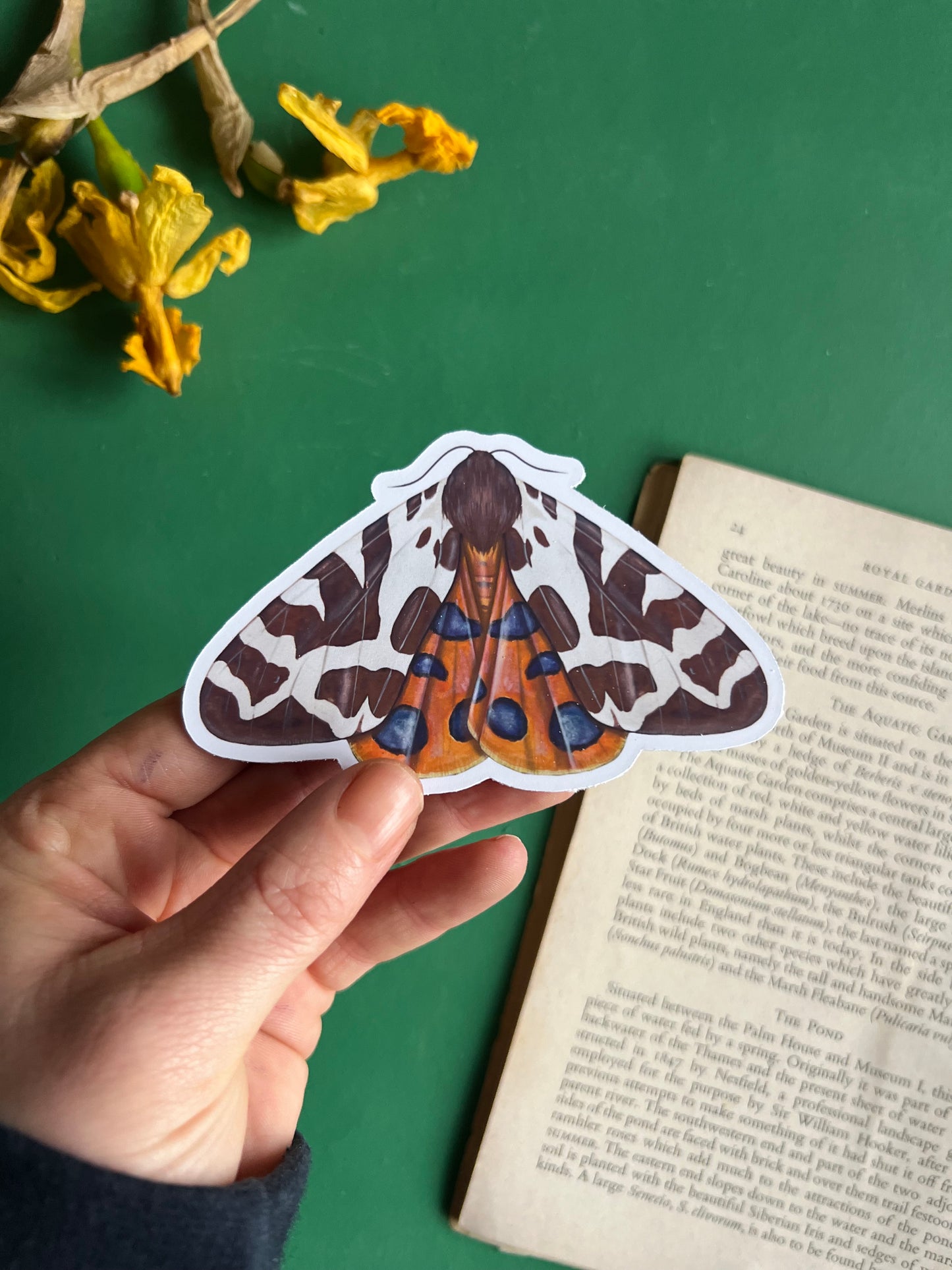 Garden Tiger Moth Sticker