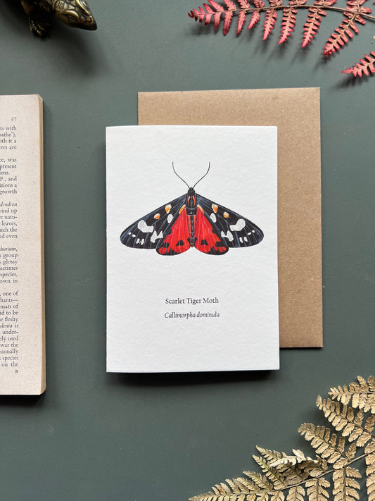 Scarlet Tiger Moth Card