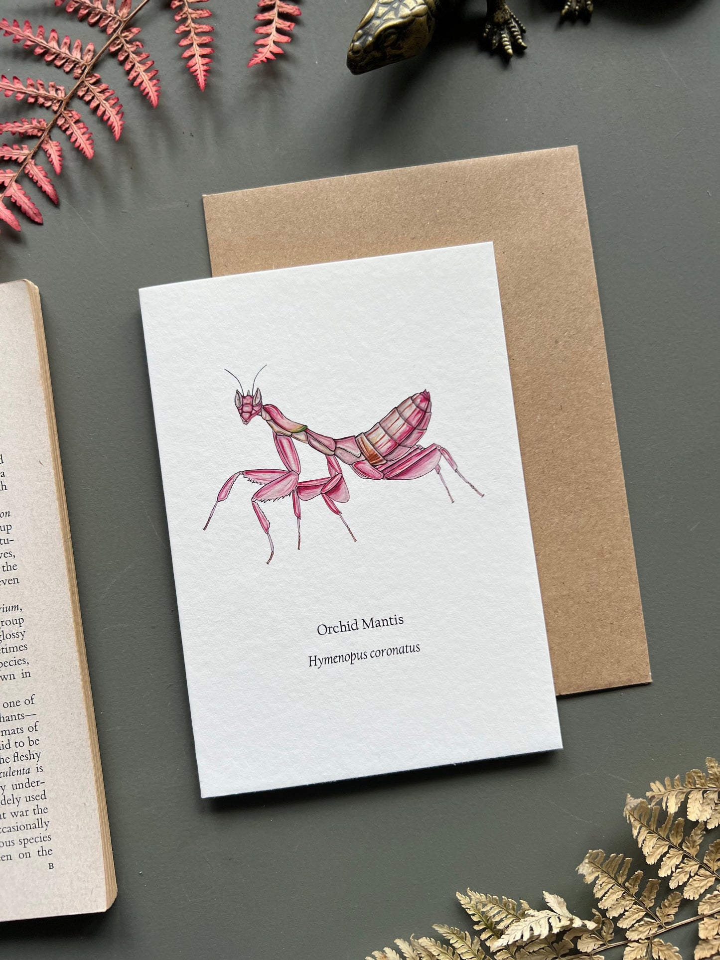 Orchid Mantis Card