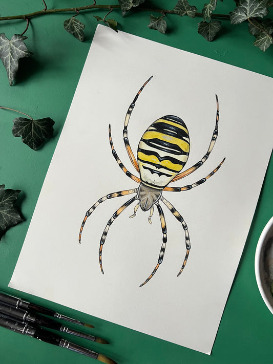 Wasp Spider