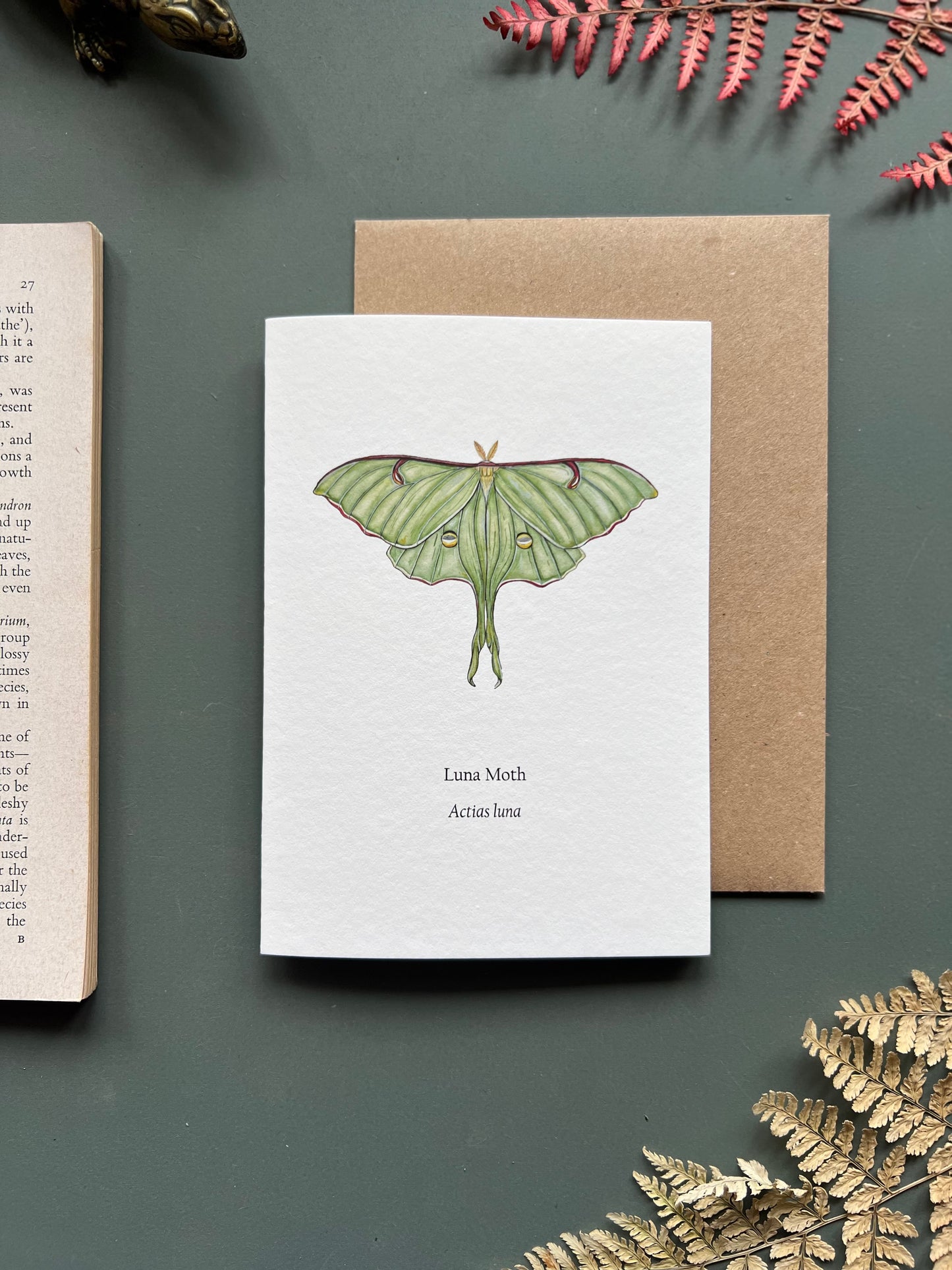 Luna Moth Card