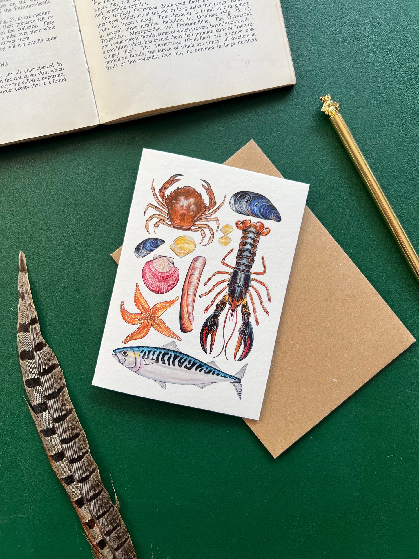 Marine Life Card
