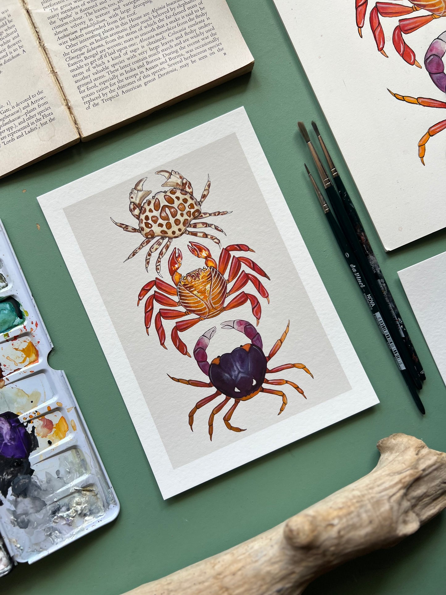 Crabs Print, Marine life