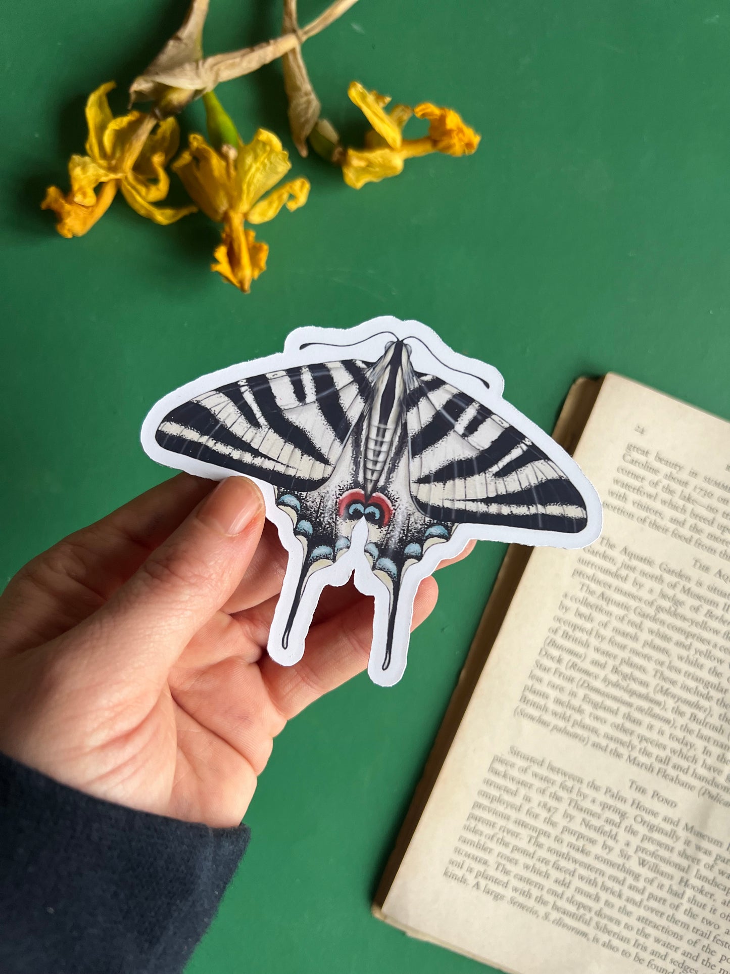 Scarce Swallowtail Sticker